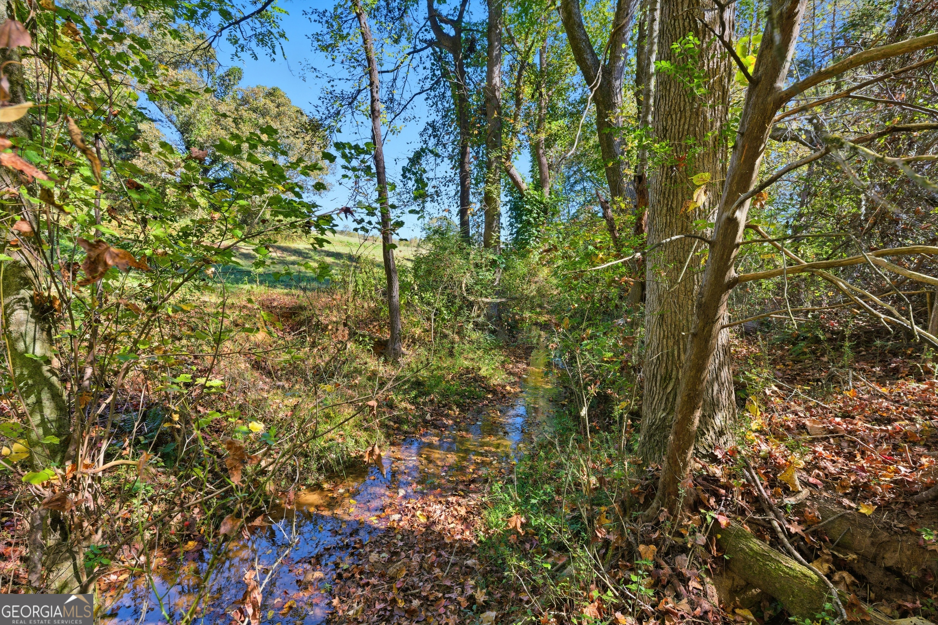 0 Broad River Road Eastanollee, GA 30577 - Photo 10 of 13 a view of a garden
