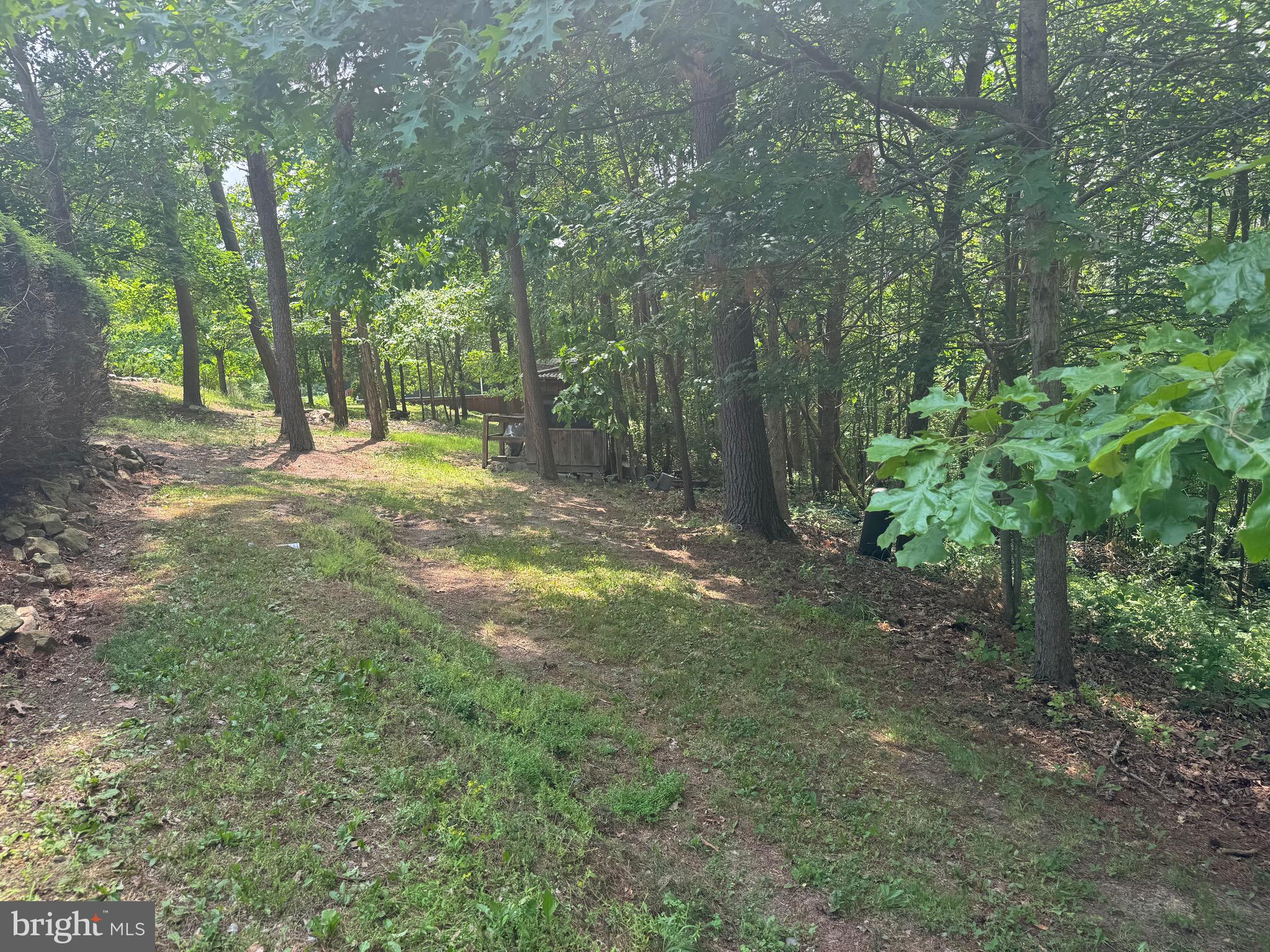 4242 Camp Reed Lane Petersburg, PA 16669 - Photo 74 of 83