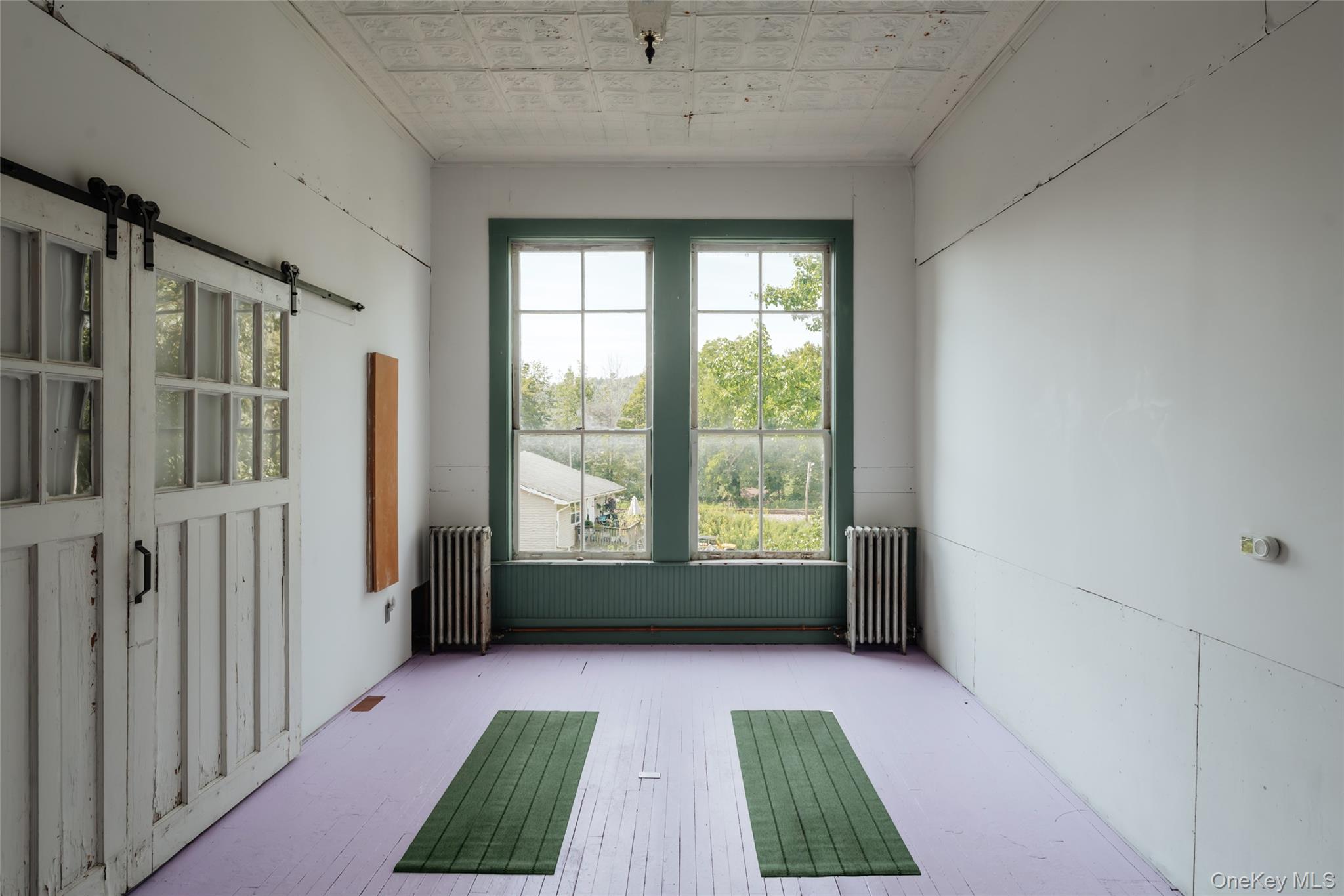 48 Upper Main Street Callicoon, NY 12723 - Photo 17 of 48 Spare room with a barn door, an ornate ceiling, and radiator heating unit