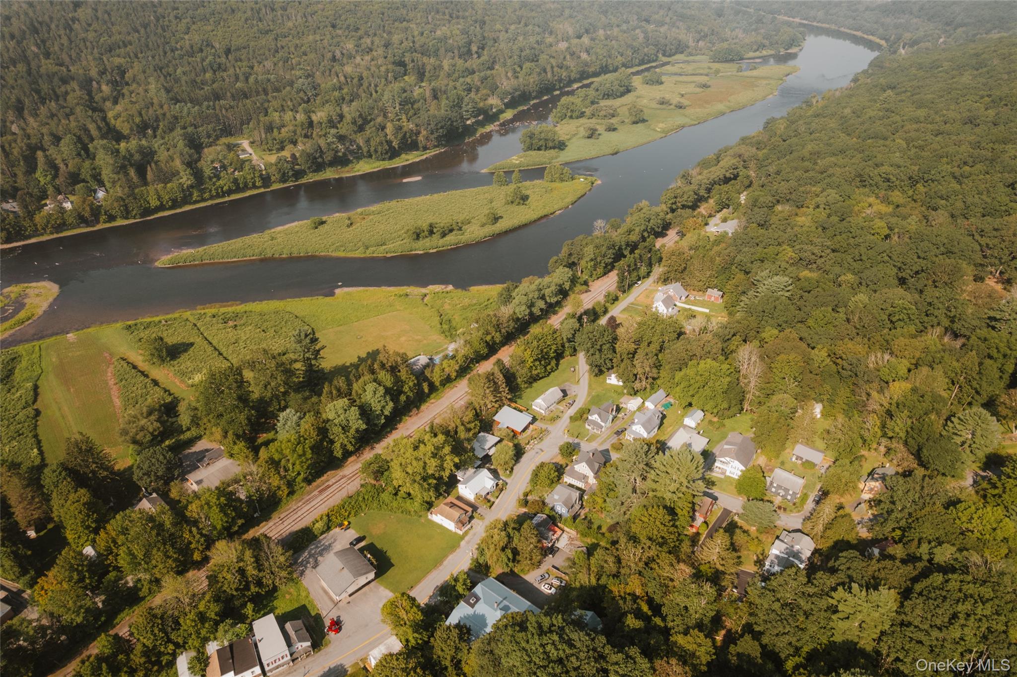 48 Upper Main Street Callicoon, NY 12723 - Photo 4 of 48 Aerial overview of property's location featuring a heavily wooded area and a nearby body of water
