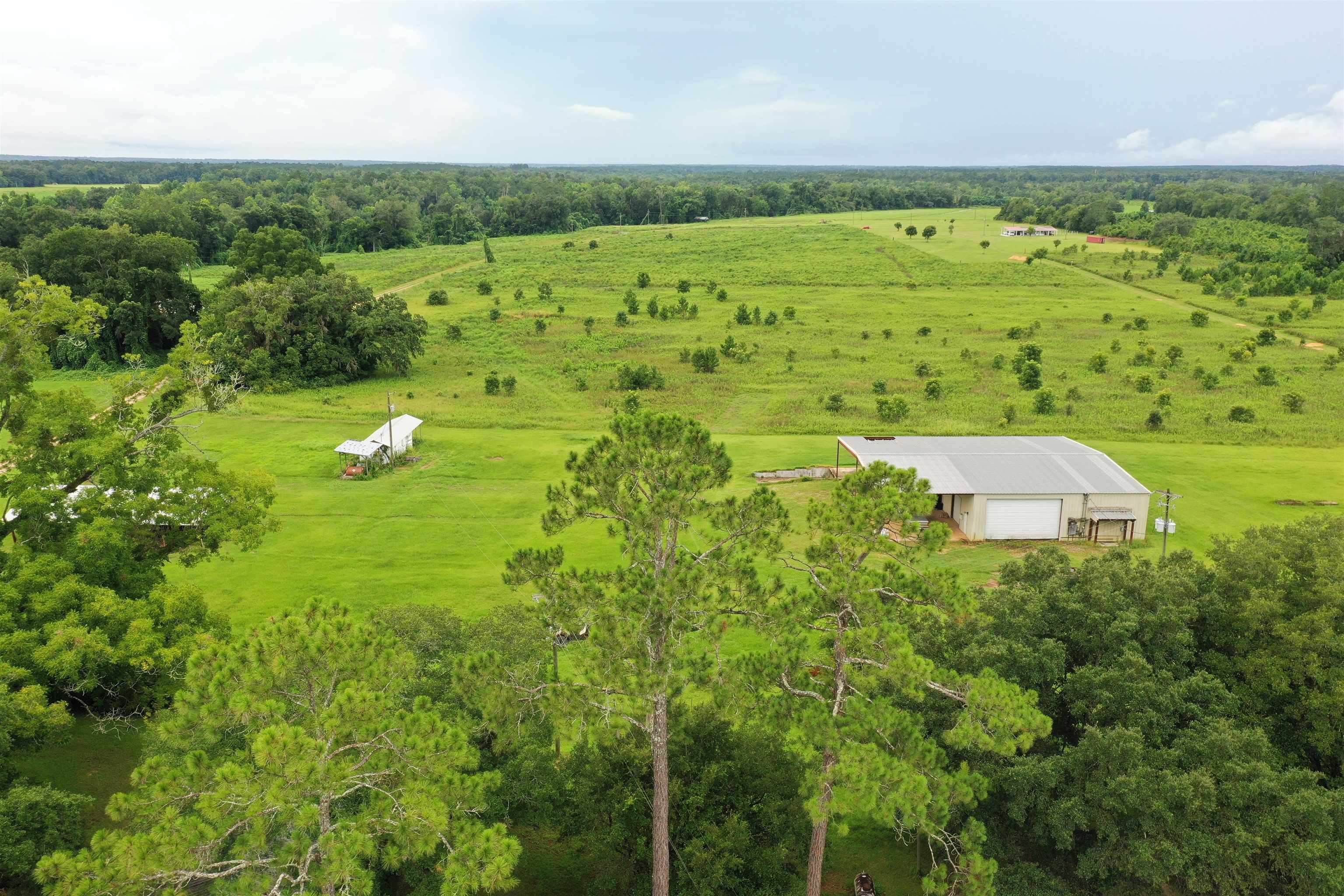 258 Harbin Road Quincy, FL 32351 - Photo 59 of 67 Gallery Image 59