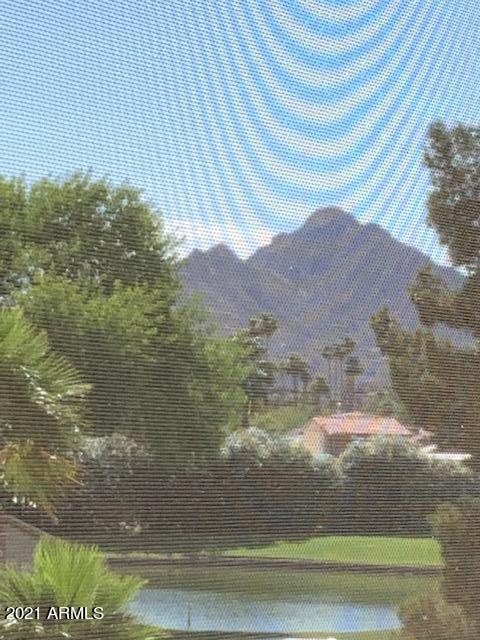 7860 East Camelback Road, Unit 310 Scottsdale, AZ 85251 - Photo 17 of 17 Scottsdale Shadows 310