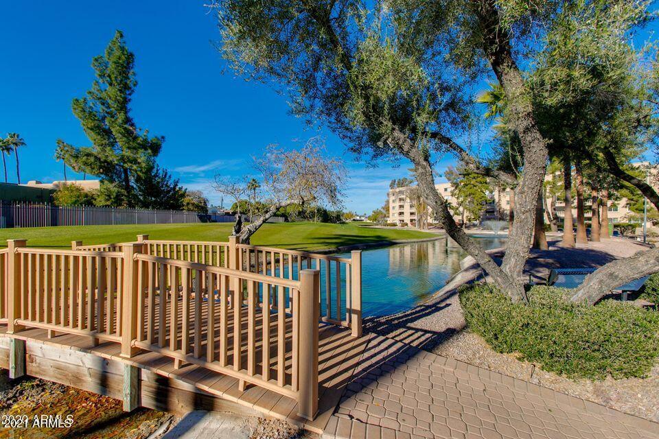 7860 East Camelback Road, Unit 310 Scottsdale, AZ 85251 - Photo 7 of 17 Lush Grounds