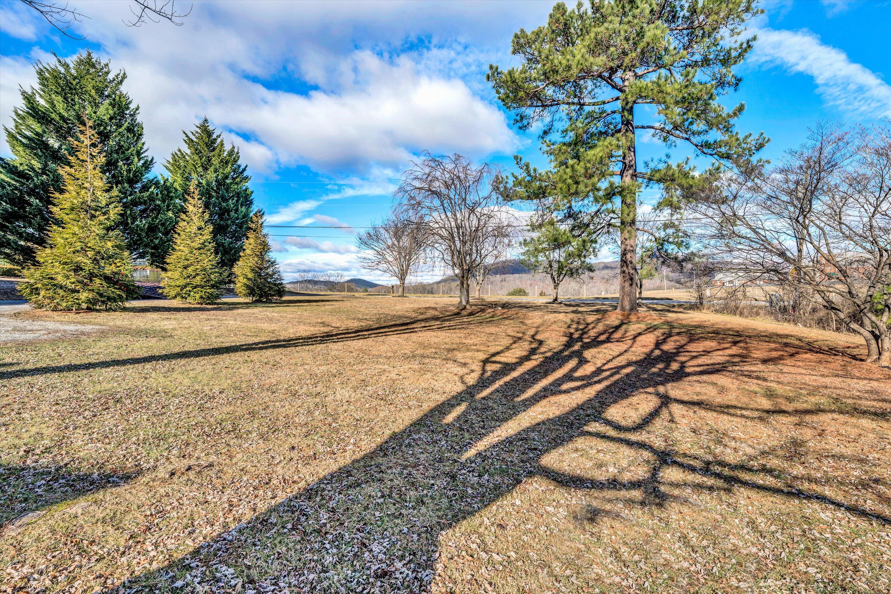 1120 Turner Branch Road Goodview, VA 24095 - Photo 27 of 35 a view of a yard with an empty space and trees