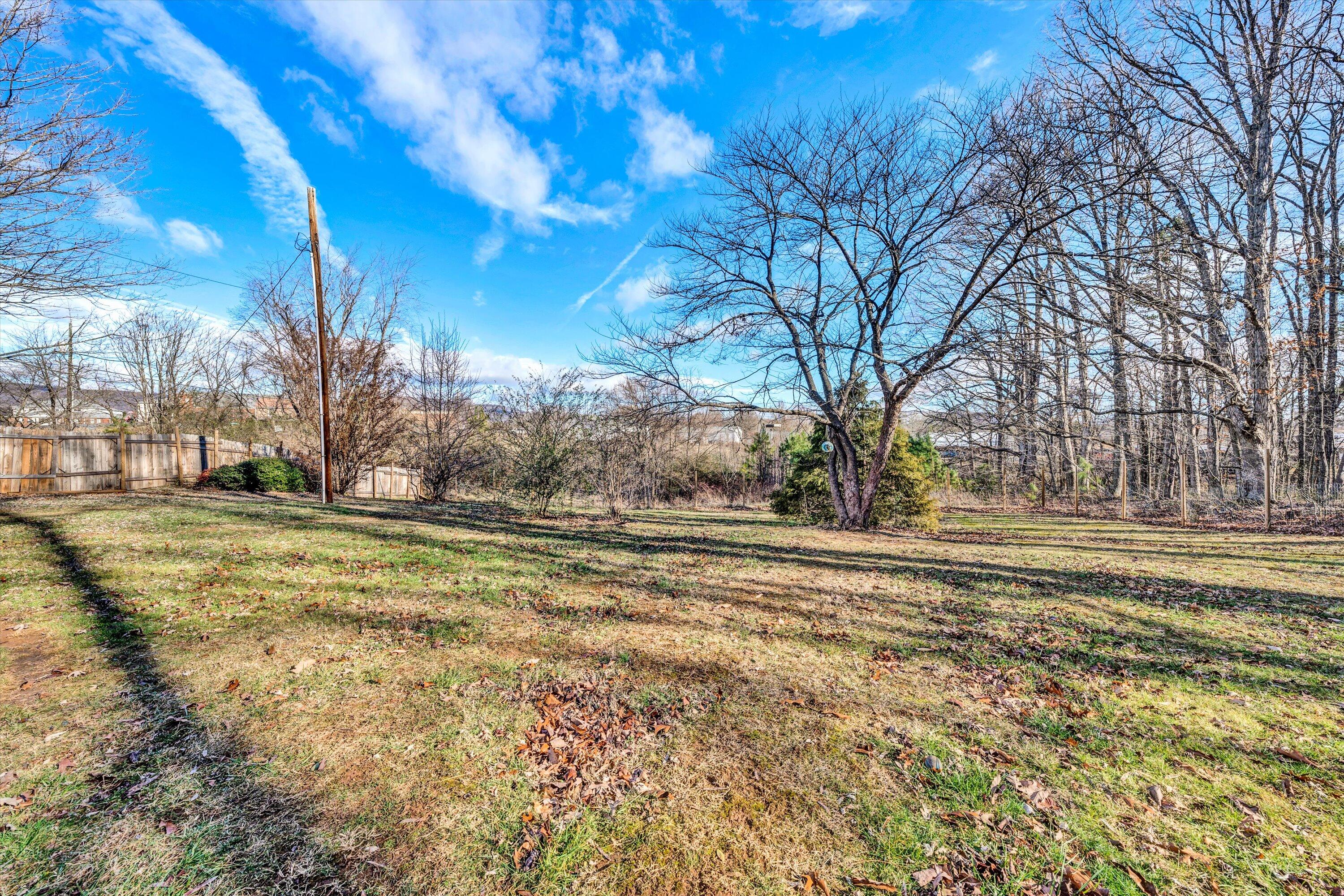 1120 Turner Branch Road Goodview, VA 24095 - Photo 32 of 35 a view of yard with large trees