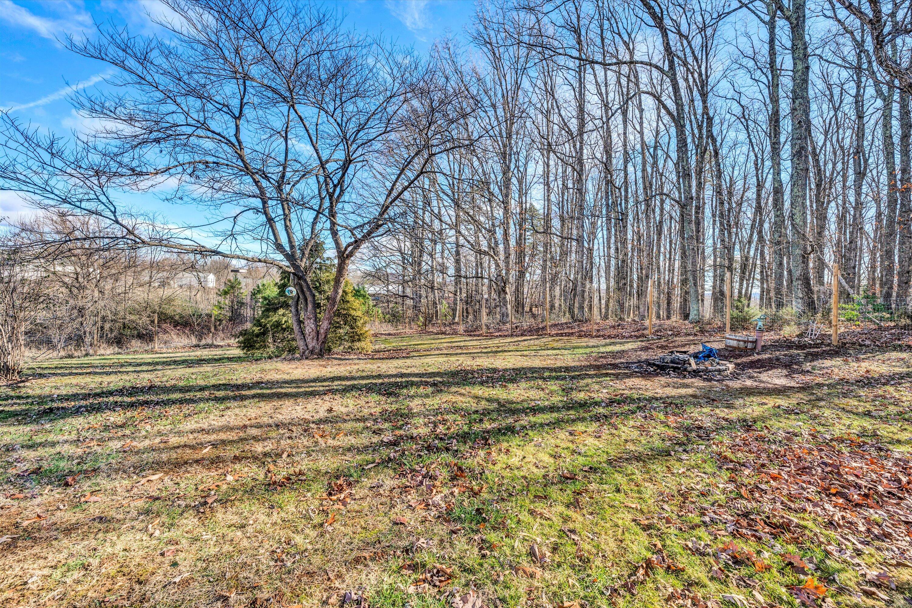 1120 Turner Branch Road Goodview, VA 24095 - Photo 33 of 35 a view of outdoor space with deck and tree