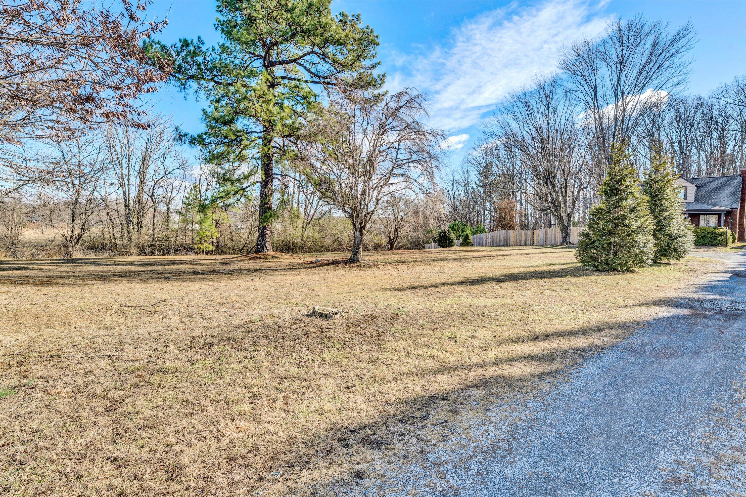 1120 Turner Branch Road Goodview, VA 24095 - Photo 35 of 35 a view of dirt yard with a large tree