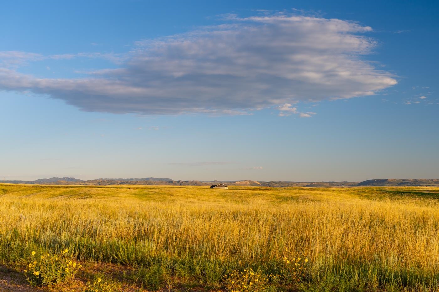 291 Boundary Road Cheyenne, WY 82009 - Photo 3 of 22
