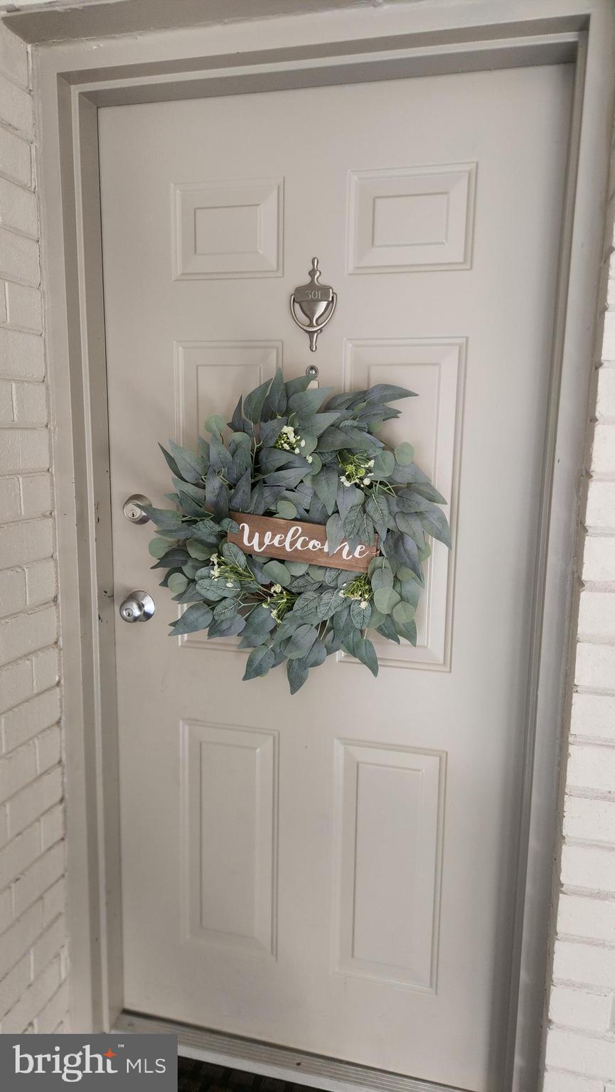 10862 Bucknell Drive, Unit 301 Silver Spring, MD 20902 - Photo 2 of 32 Entry Door to #301