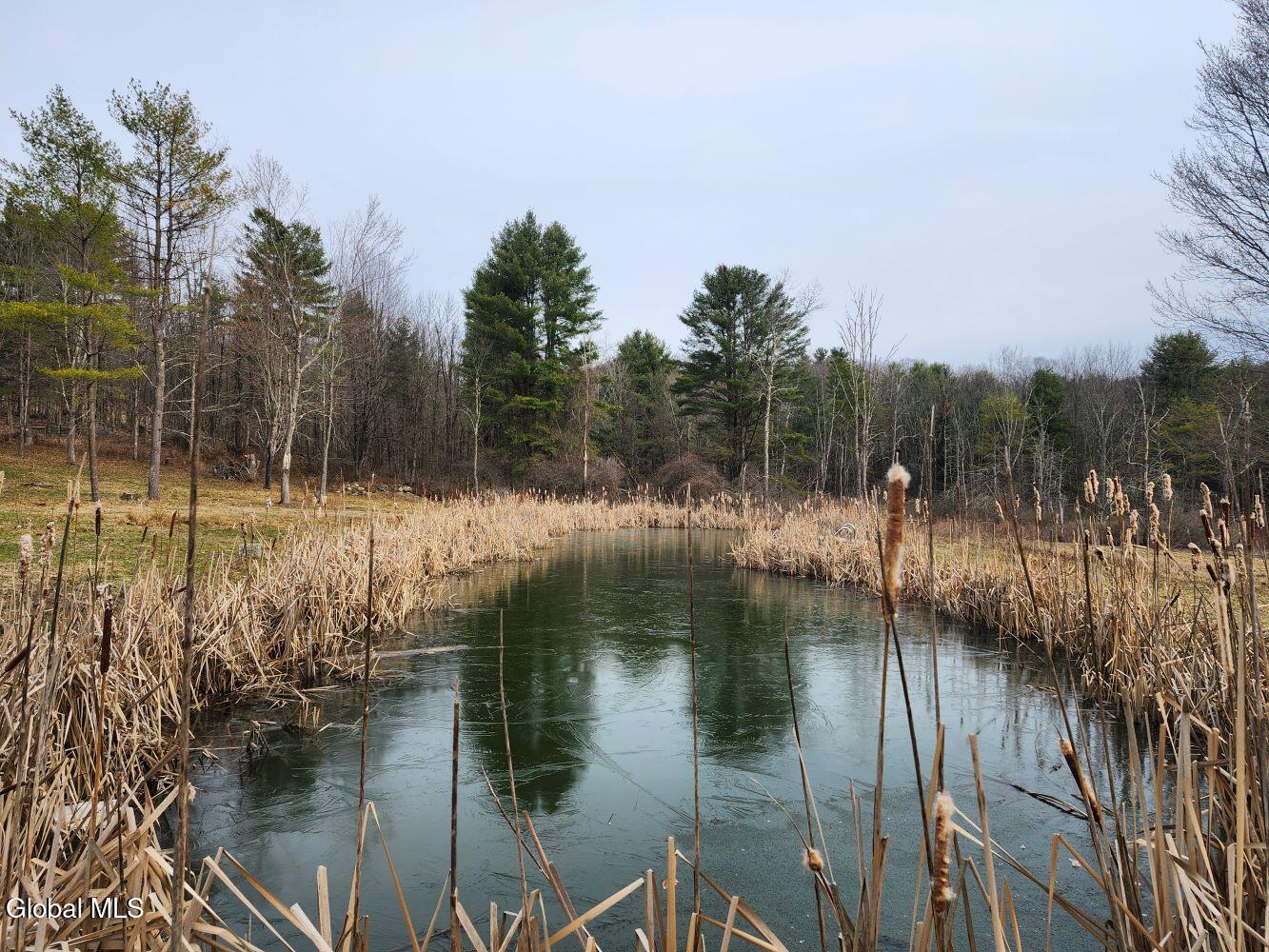 92 Dickensen Road Buskirk, NY 12028 - Photo 45 of 61 20260315_093718