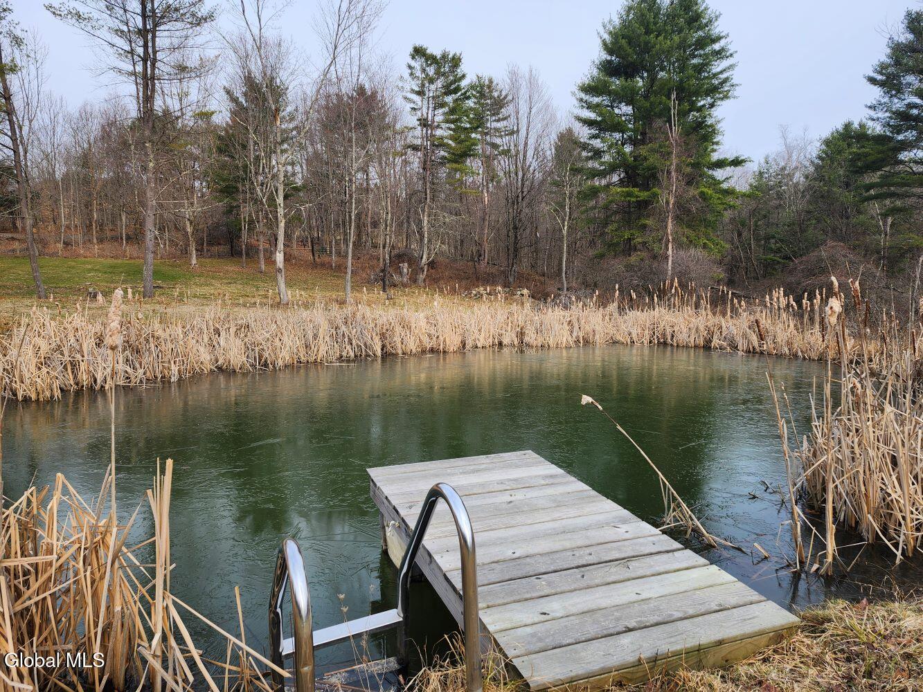 92 Dickensen Road Buskirk, NY 12028 - Photo 46 of 61 20260315_093748