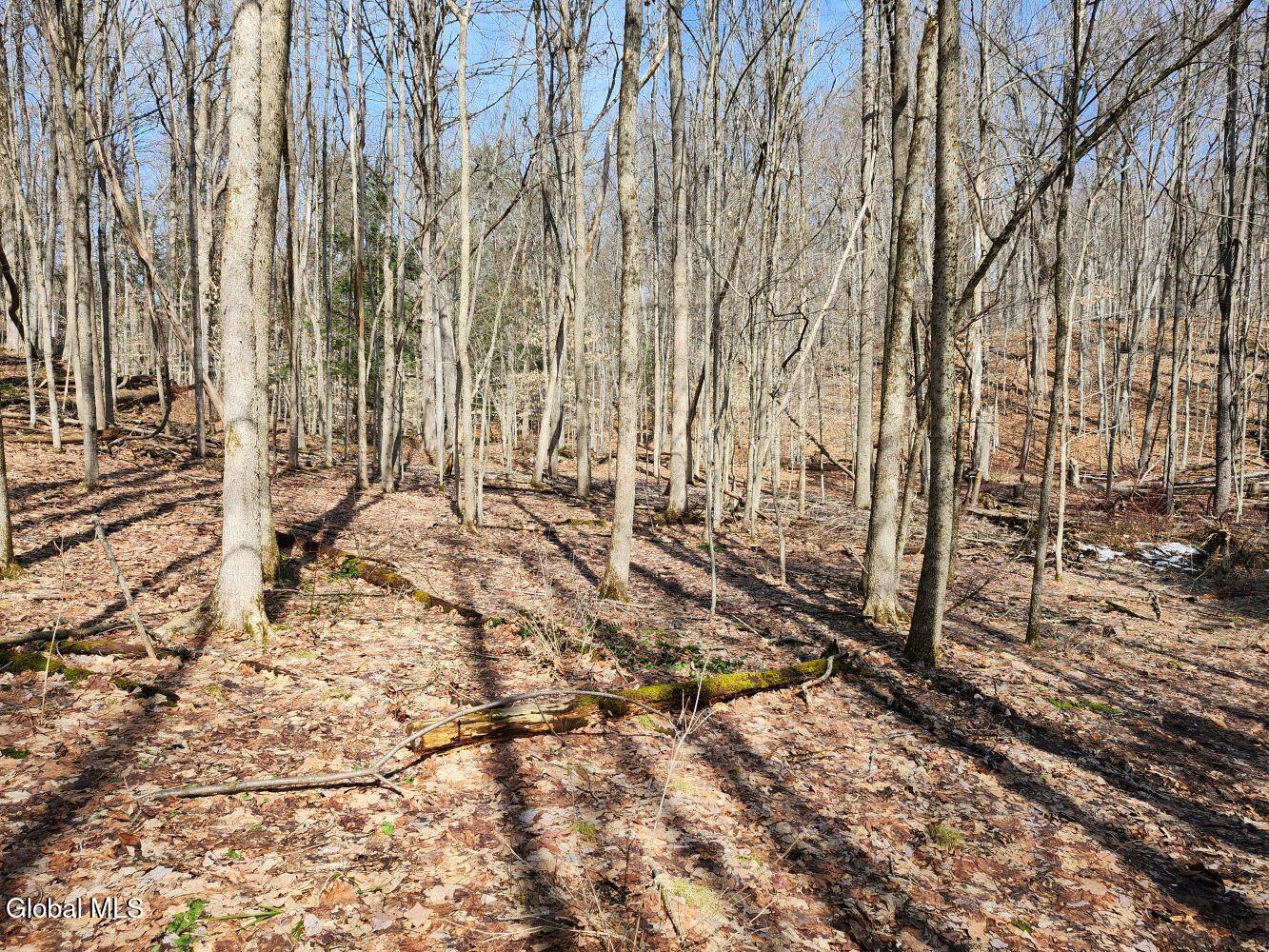 92 Dickensen Road Buskirk, NY 12028 - Photo 54 of 61 20260311_122600