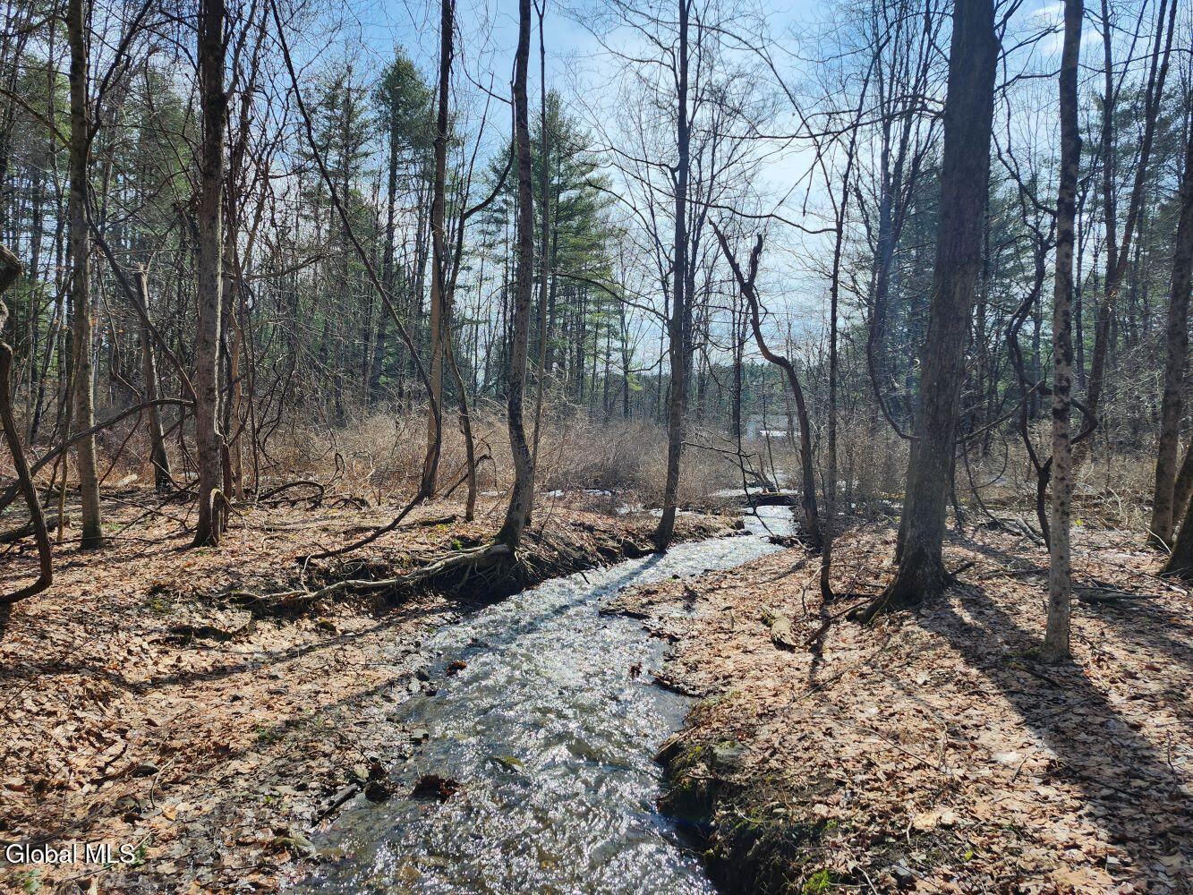 92 Dickensen Road Buskirk, NY 12028 - Photo 55 of 61 20260311_122733