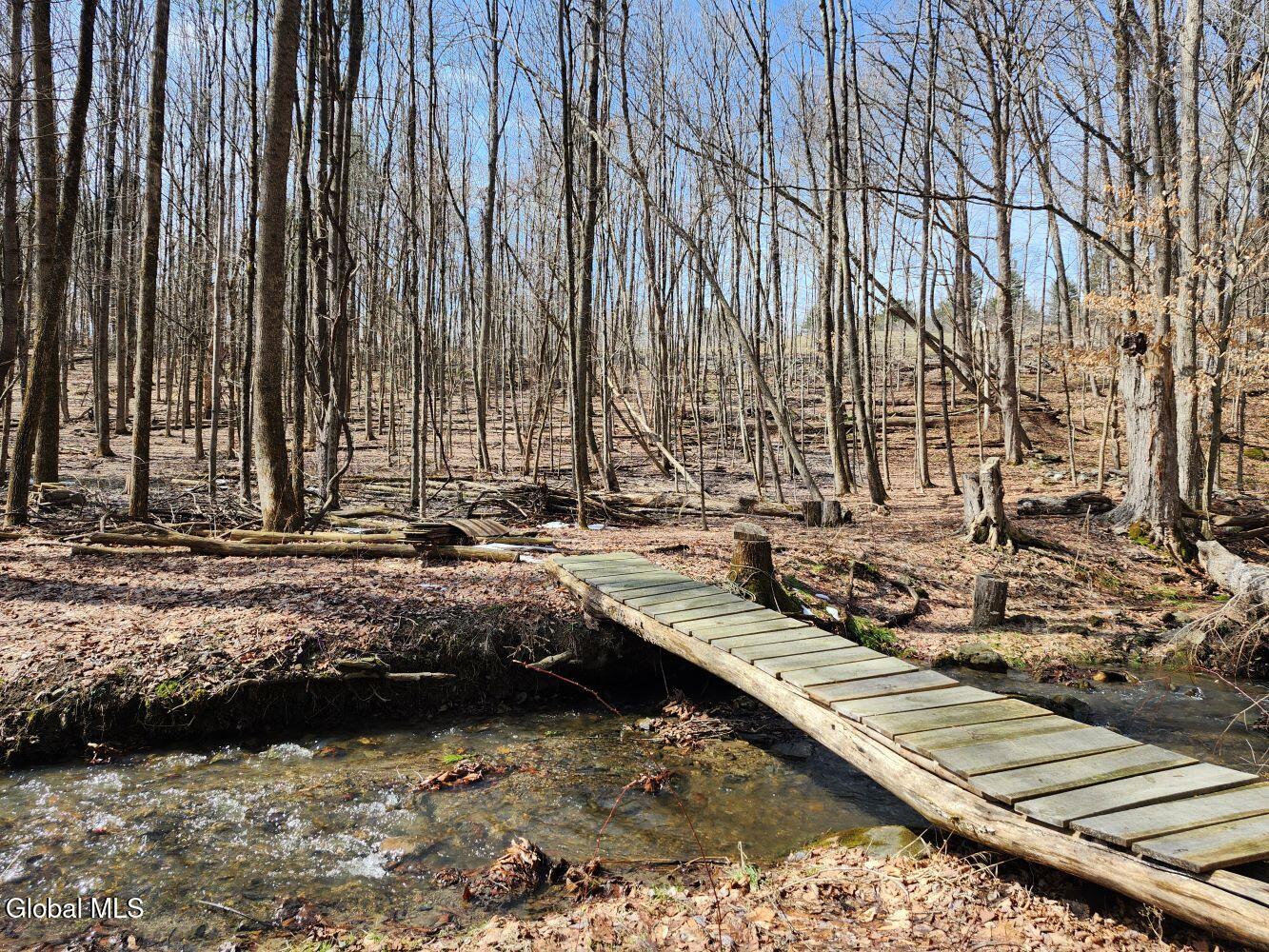 92 Dickensen Road Buskirk, NY 12028 - Photo 56 of 61 20260311_122756