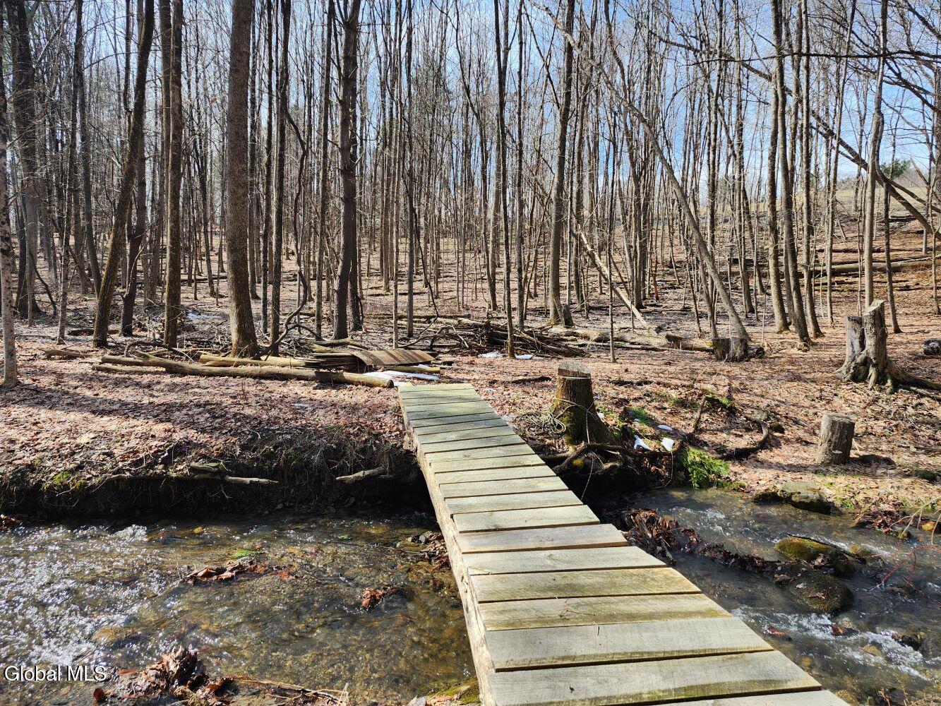 92 Dickensen Road Buskirk, NY 12028 - Photo 57 of 61 20260311_122941