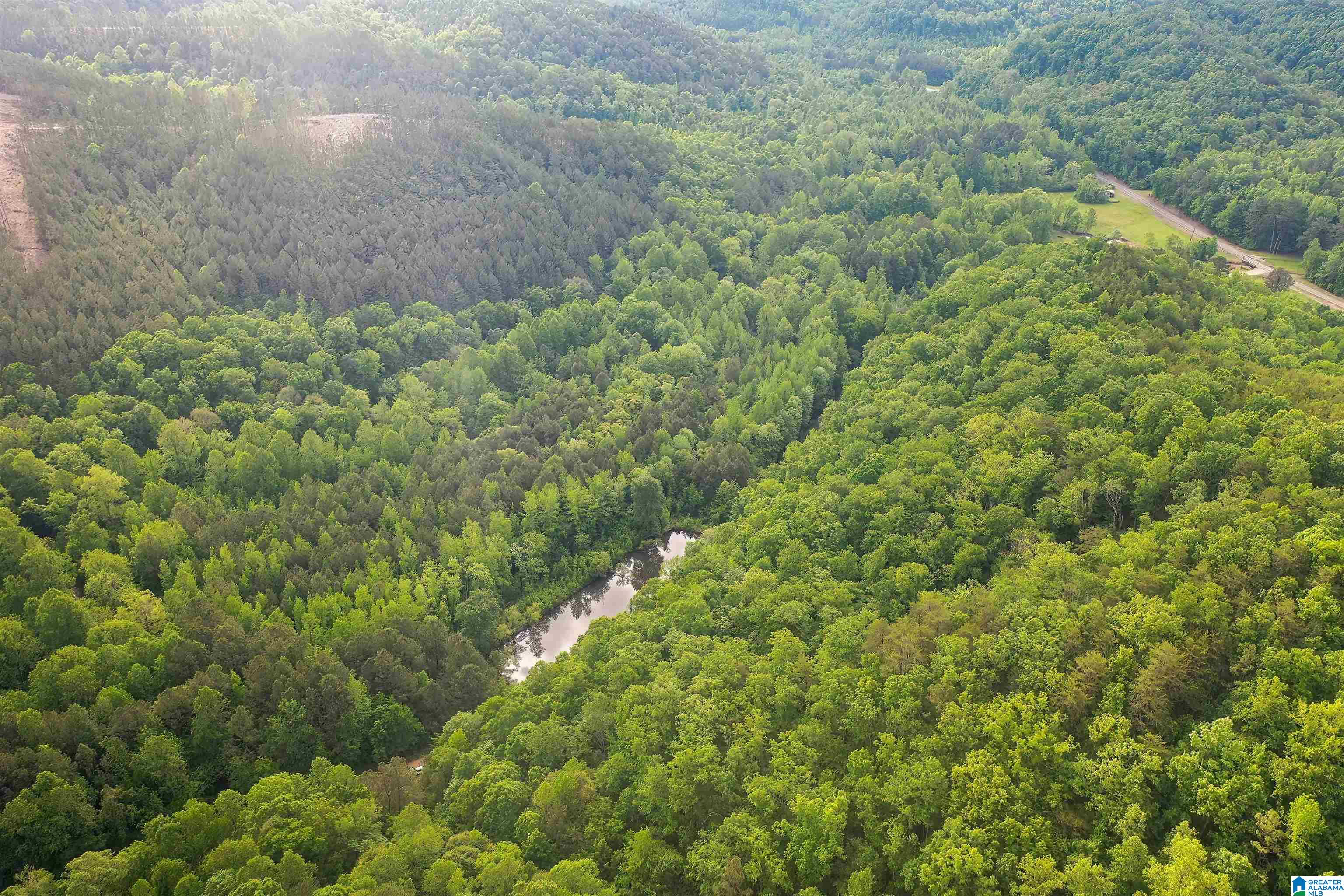 0 Wolf Creek Road Carbon Hill, AL 35549 - Photo 6 of 29