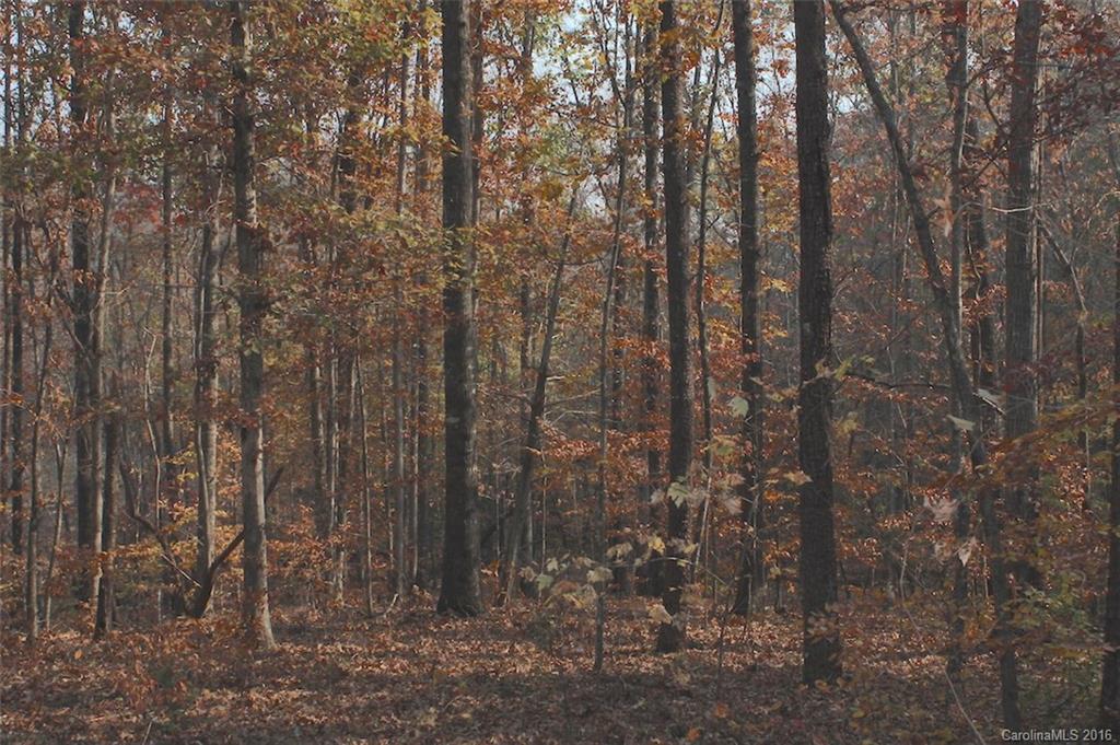 138 Hamilton Road Rutherfordton, NC 28139 - Photo 3 of 24