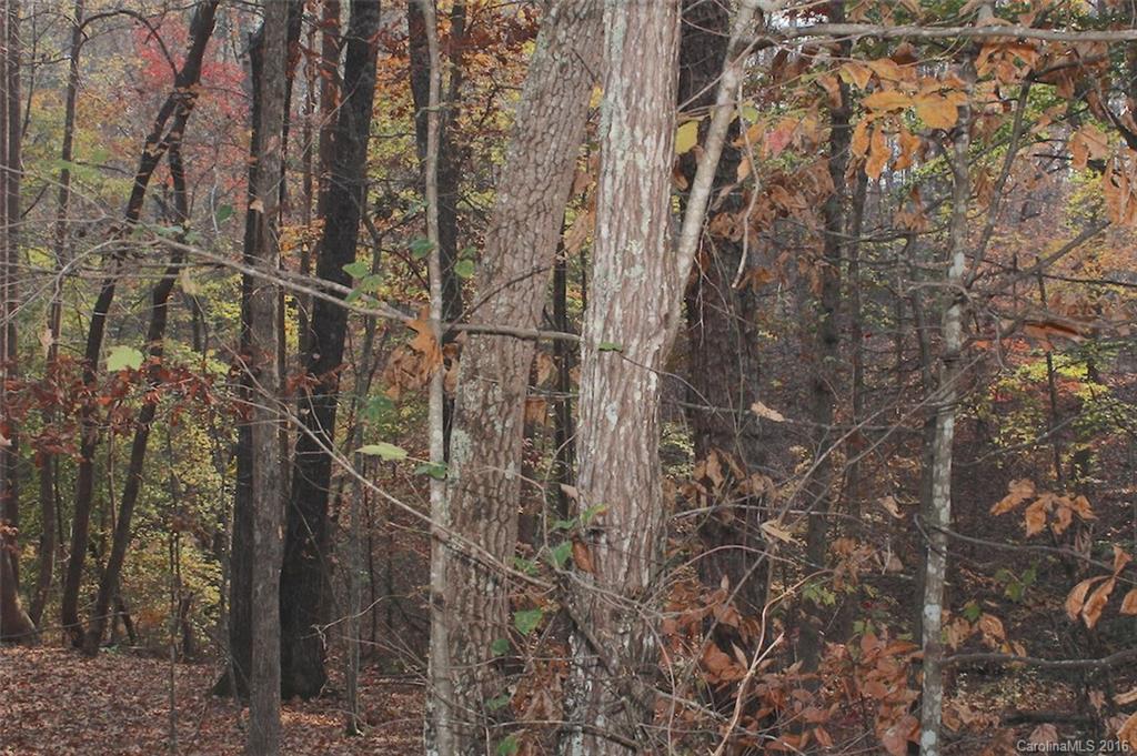 138 Hamilton Road Rutherfordton, NC 28139 - Photo 4 of 24