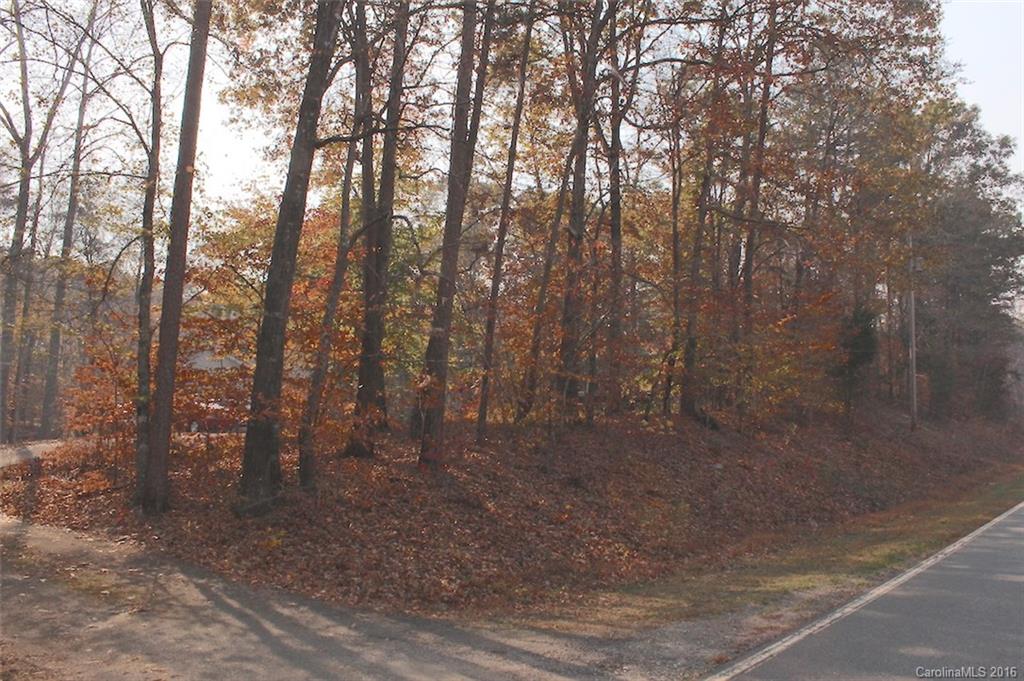 138 Hamilton Road Rutherfordton, NC 28139 - Photo 7 of 24