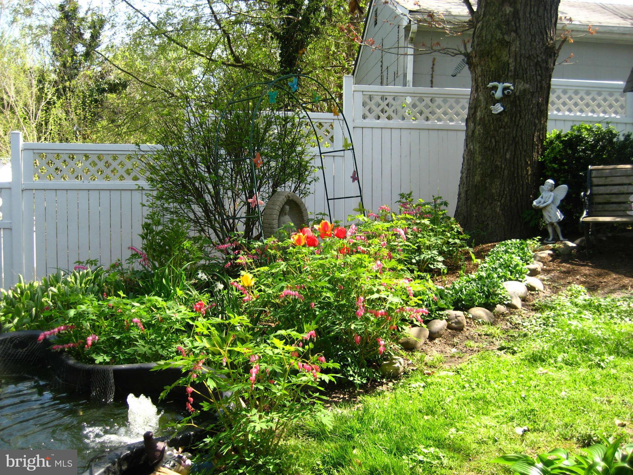 1224-7 Seven Oaks Road Baltimore, MD 21227 - Photo 22 of 28 Garden shows pond and flowers