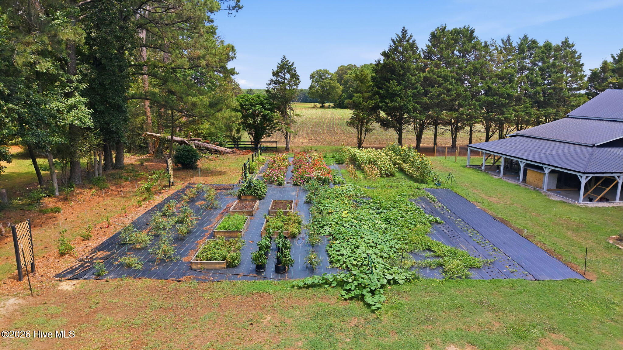 5349 A Pridgen Road Elm City, NC 27822 - Photo 14 of 67