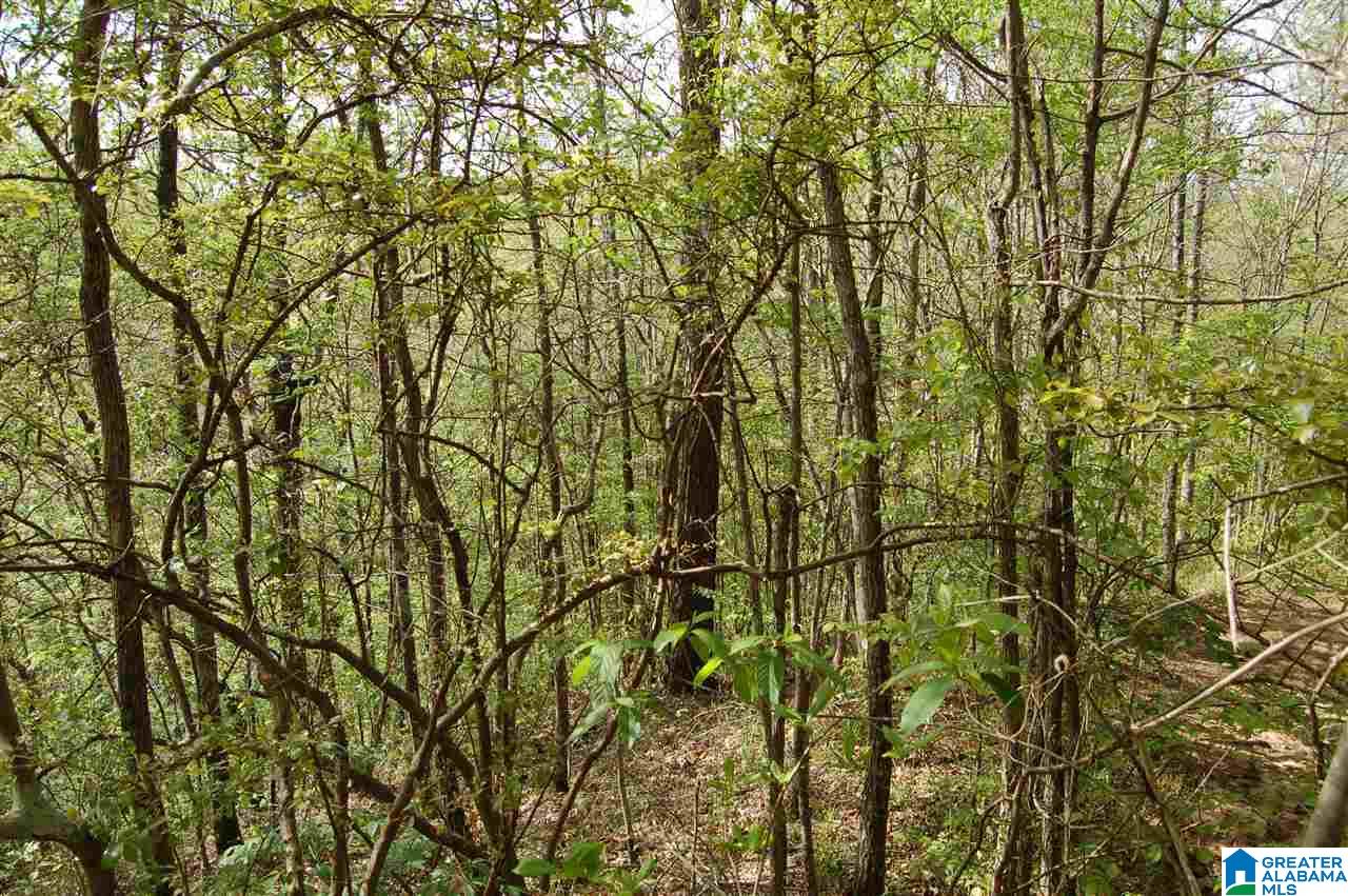 C C Road, Unit 40 00 Vinemont, AL 35179 - Photo 6 of 12