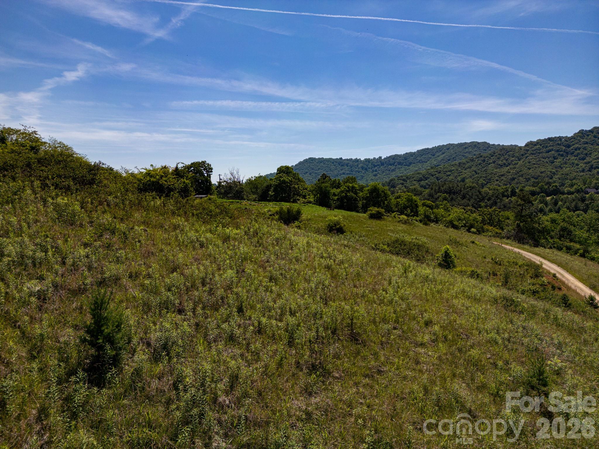 999 Murphy Cove Road Candler, NC 28715 - Photo 25 of 48