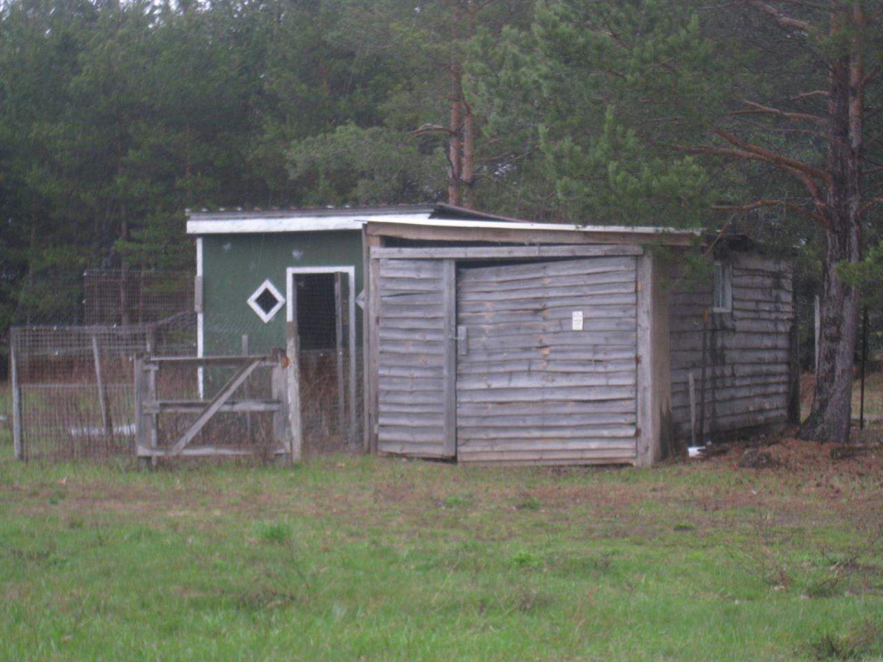 825 Tyler Road Southeast Kalkaska, MI 49646 - Photo 3 of 21 1783979-2.JPG