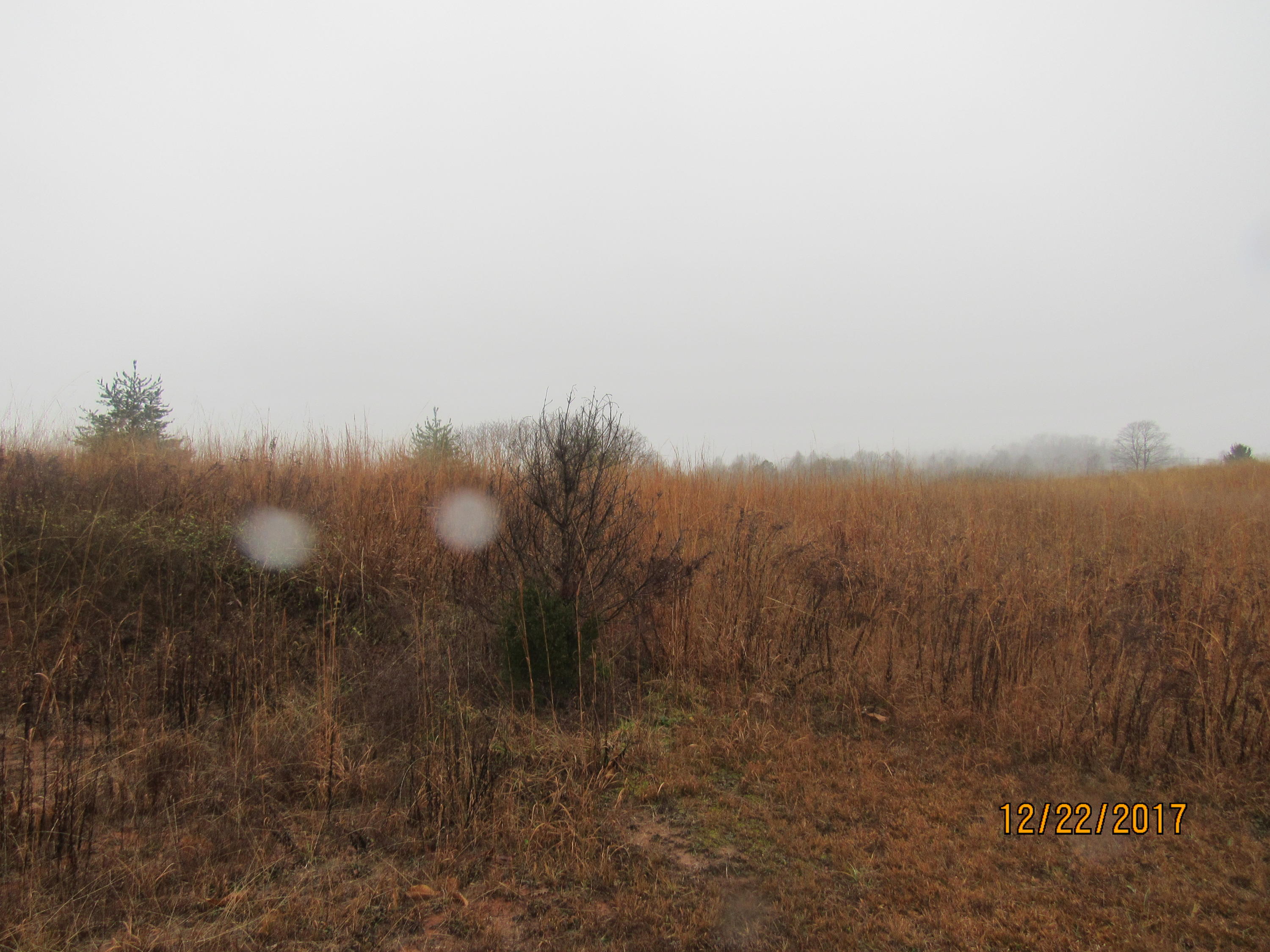 Creek Road Spring City, TN 37381 - Photo 2 of 5 IMG_1036