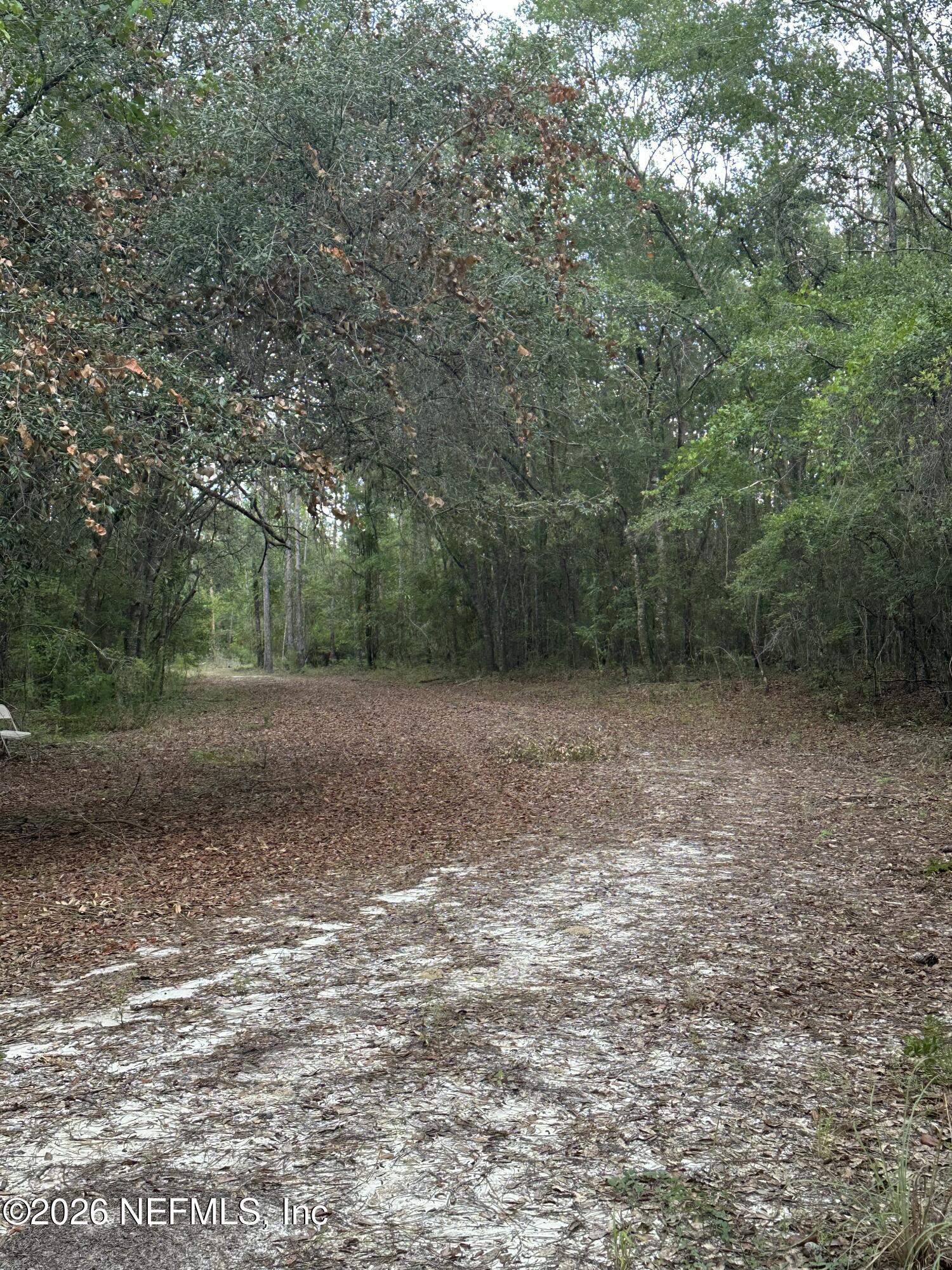 15422 Bullock Bluff Road Bryceville, FL 32009 - Photo 13 of 23 a view of a field with trees in background