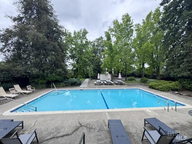 139 Coronado Circle Santa Rosa, CA 95409 - Photo 19 of 23 a view of a swimming pool with lounge chairs