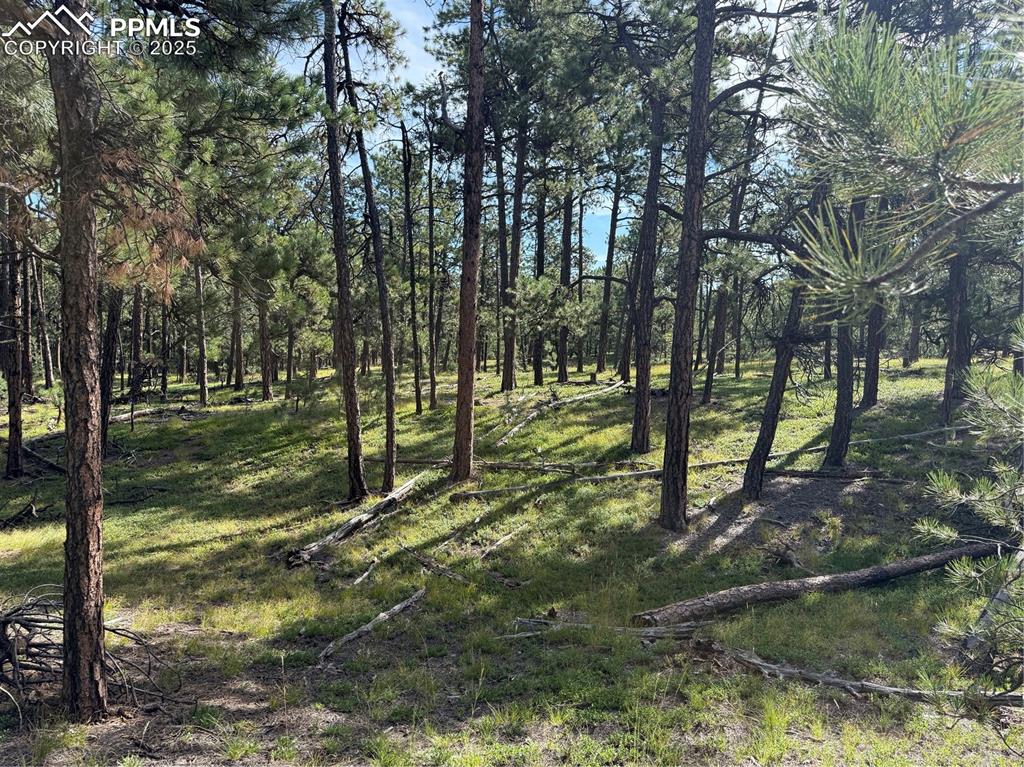 17405 East Goshawk Road Colorado Springs, CO 80908 - Photo 5 of 8 a view of park
