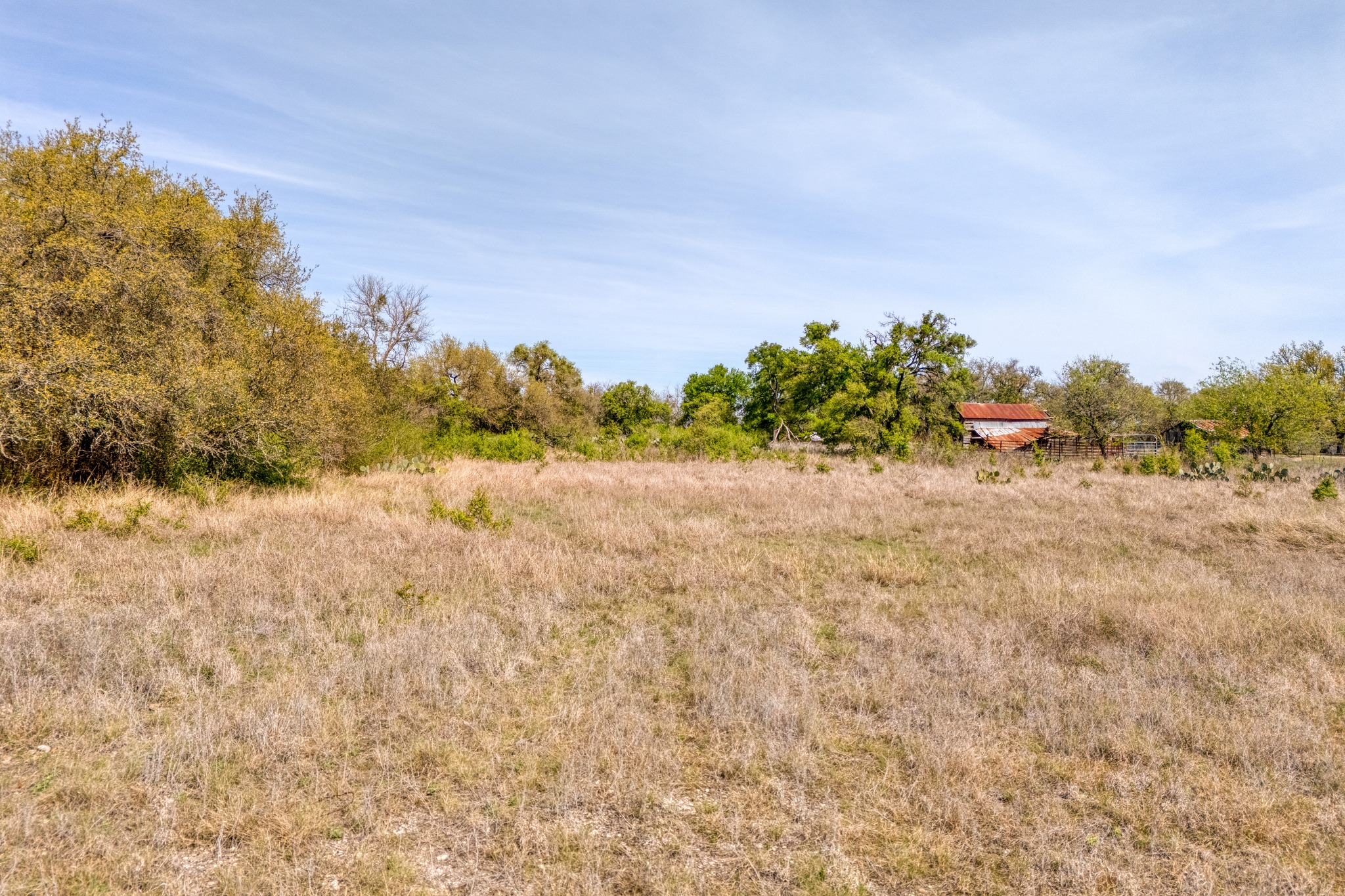 124 Georgetown Tx 78626 Georgetown, TX 78626 - Photo 11 of 12 a view of a field with trees in background
