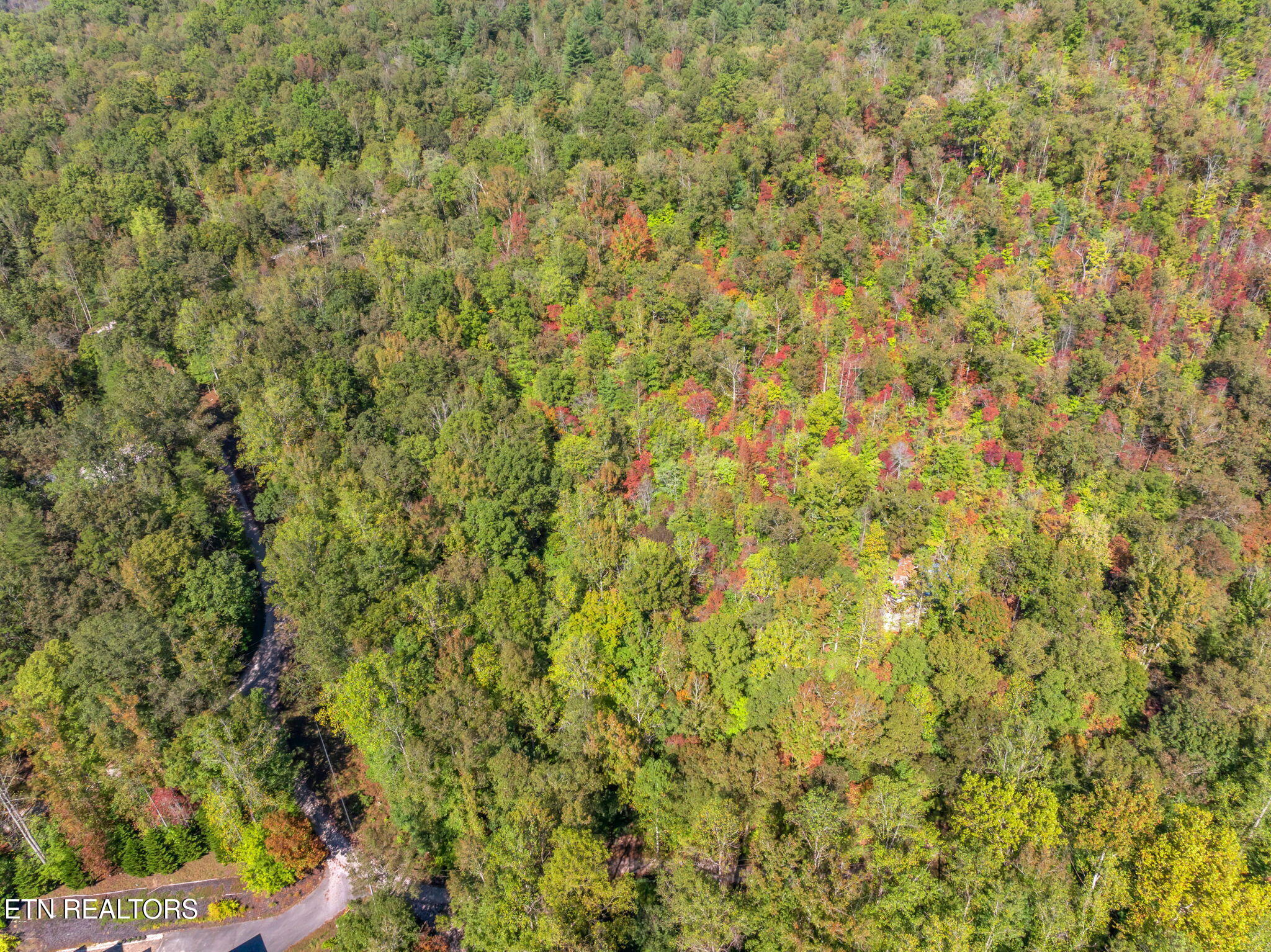 Tunnel Hill Road Harriman, TN 37748 - Photo 15 of 23 13-web-or-mls-Tunnel Hill Road-13