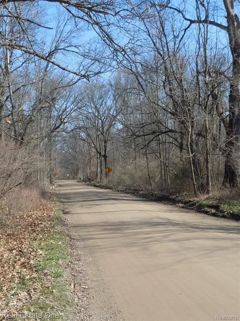 6593 North Tipsico Lake Road Holly, MI 48442 - Photo 2 of 18 Road View