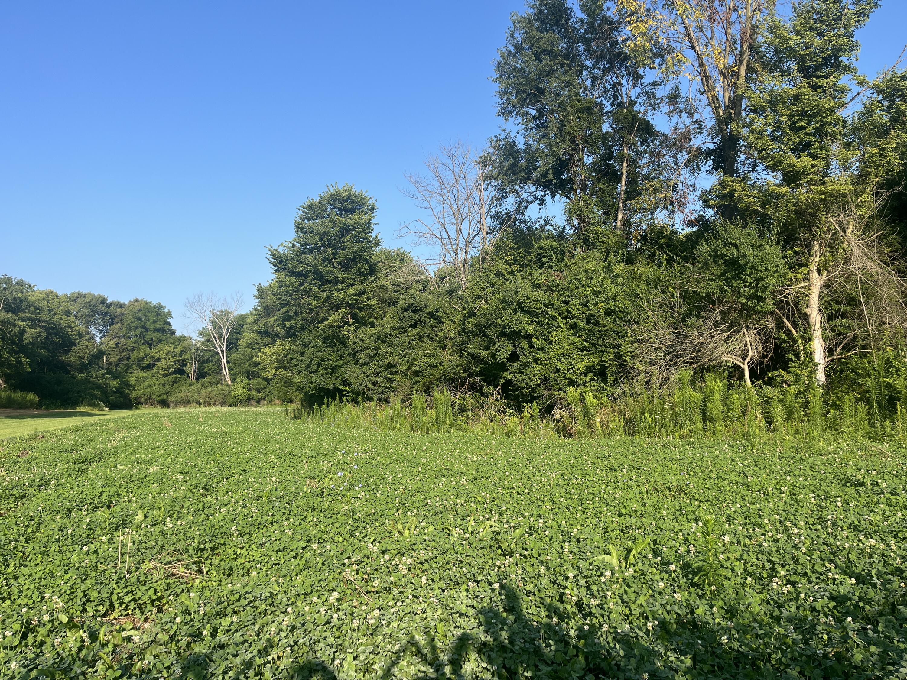 0 East Rusk Road Troy, OH 45373 - Photo 13 of 20 IMG_6316