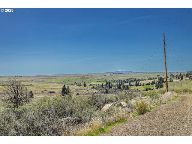 a open area with a yard