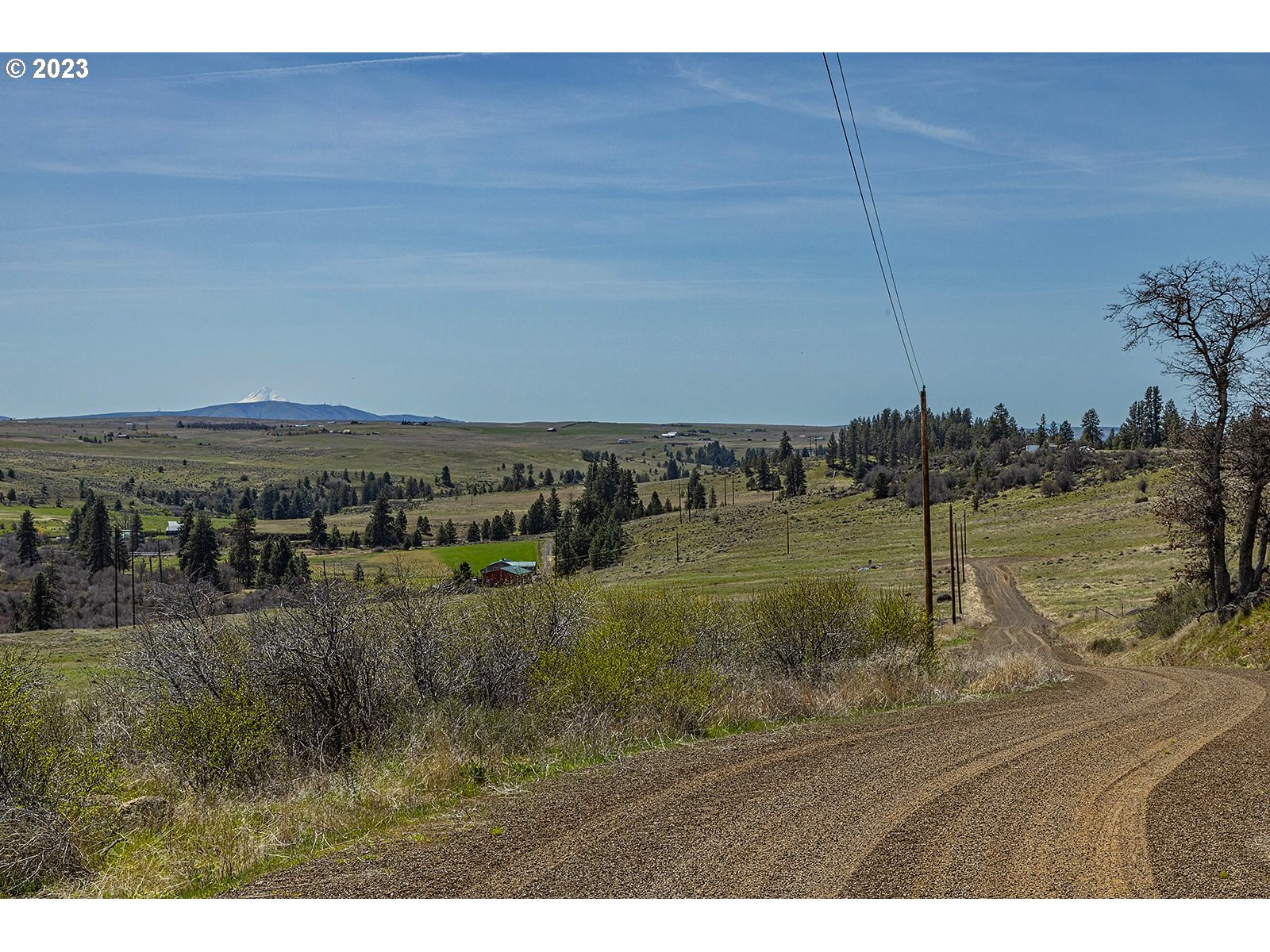 50 Chandler Road, Unit LOT 1 Goldendale, WA 98620 - Photo 19 of 24 a view of a backyard