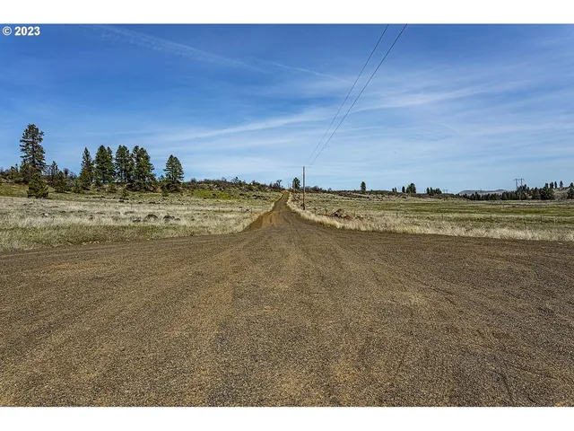 a black and white photo of a lake