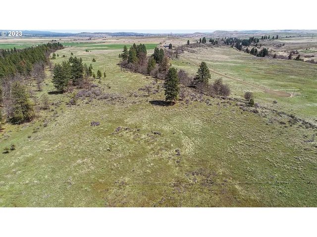 $199,000 | 50 Chandler Road, Unit LOT 1, Goldendale, WA 98620