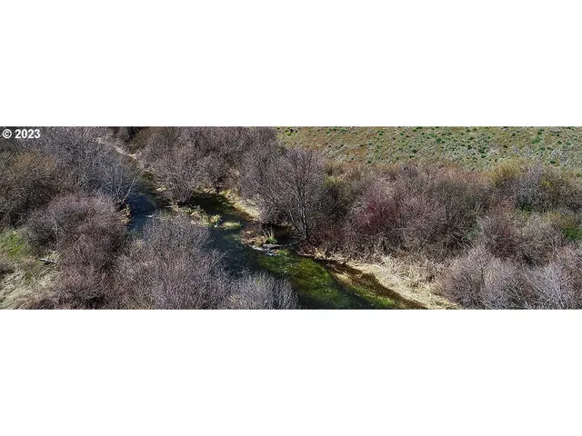 a open area with mountains in background