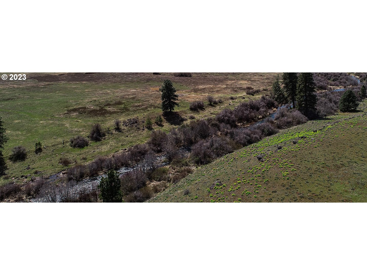 50 Chandler Road, Unit LOT 1 Goldendale, WA 98620 - Photo 7 of 24 a open area with mountains in background