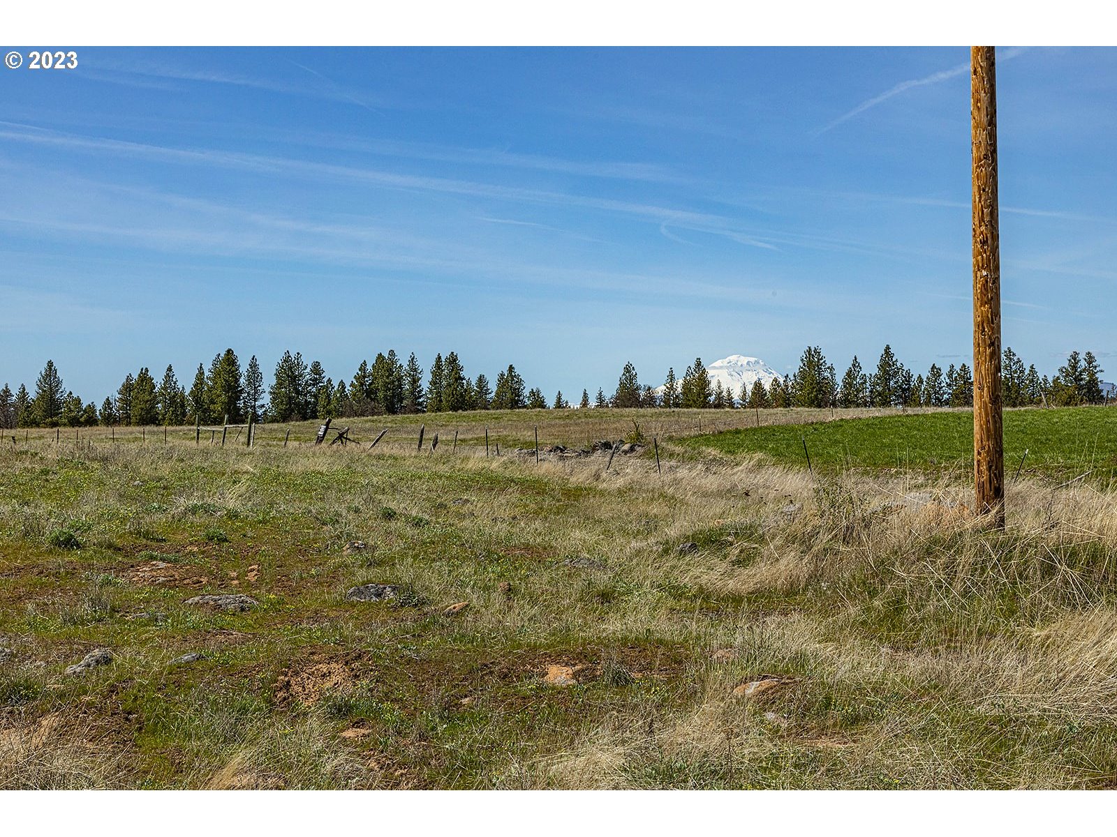 50 Chandler Road, Unit LOT 1 Goldendale, WA 98620 - Photo 8 of 24 a view of a field with ocean view