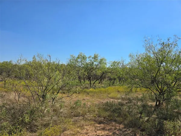 $998,875 | 498 Goldsboro Tx 79519, Goldsboro, TX 79519