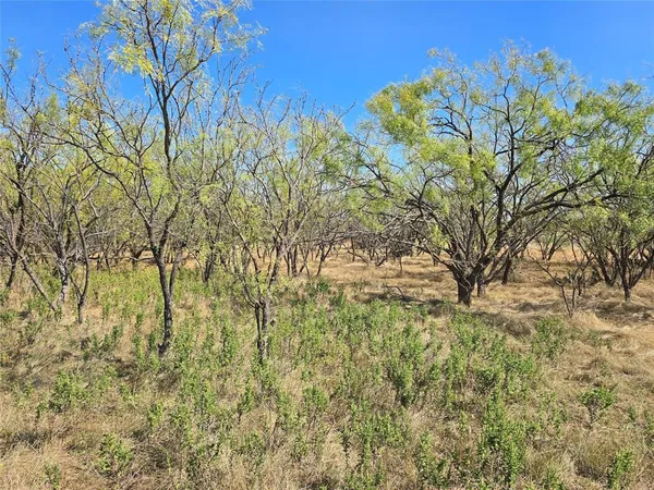 $998,875 | 498 Goldsboro Tx 79519, Goldsboro, TX 79519