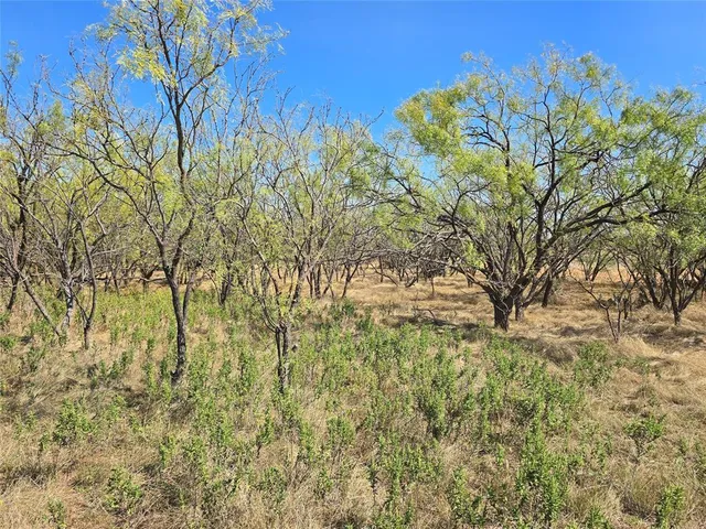 $998,875 | 498 Goldsboro Tx 79519, Goldsboro, TX 79519