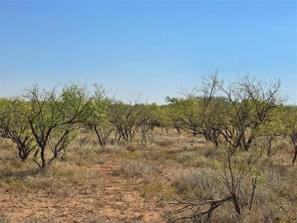 $998,875 | 498 Goldsboro Tx 79519, Goldsboro, TX 79519