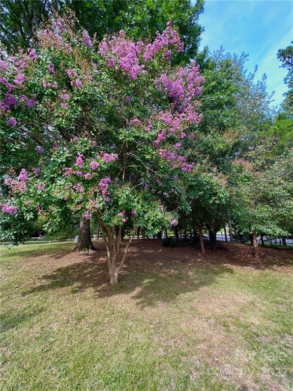 2525 Holbrook Road Fort Mill, SC 29715 - Photo 25 of 29 a view of a yard with plants and large trees