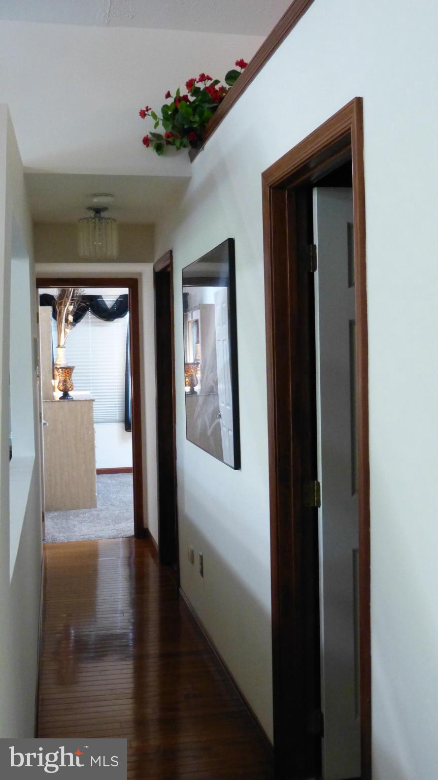 326 Steedman Point Road Pasadena, MD 21122 - Photo 17 of 30 Hardwood passage to other bedrooms