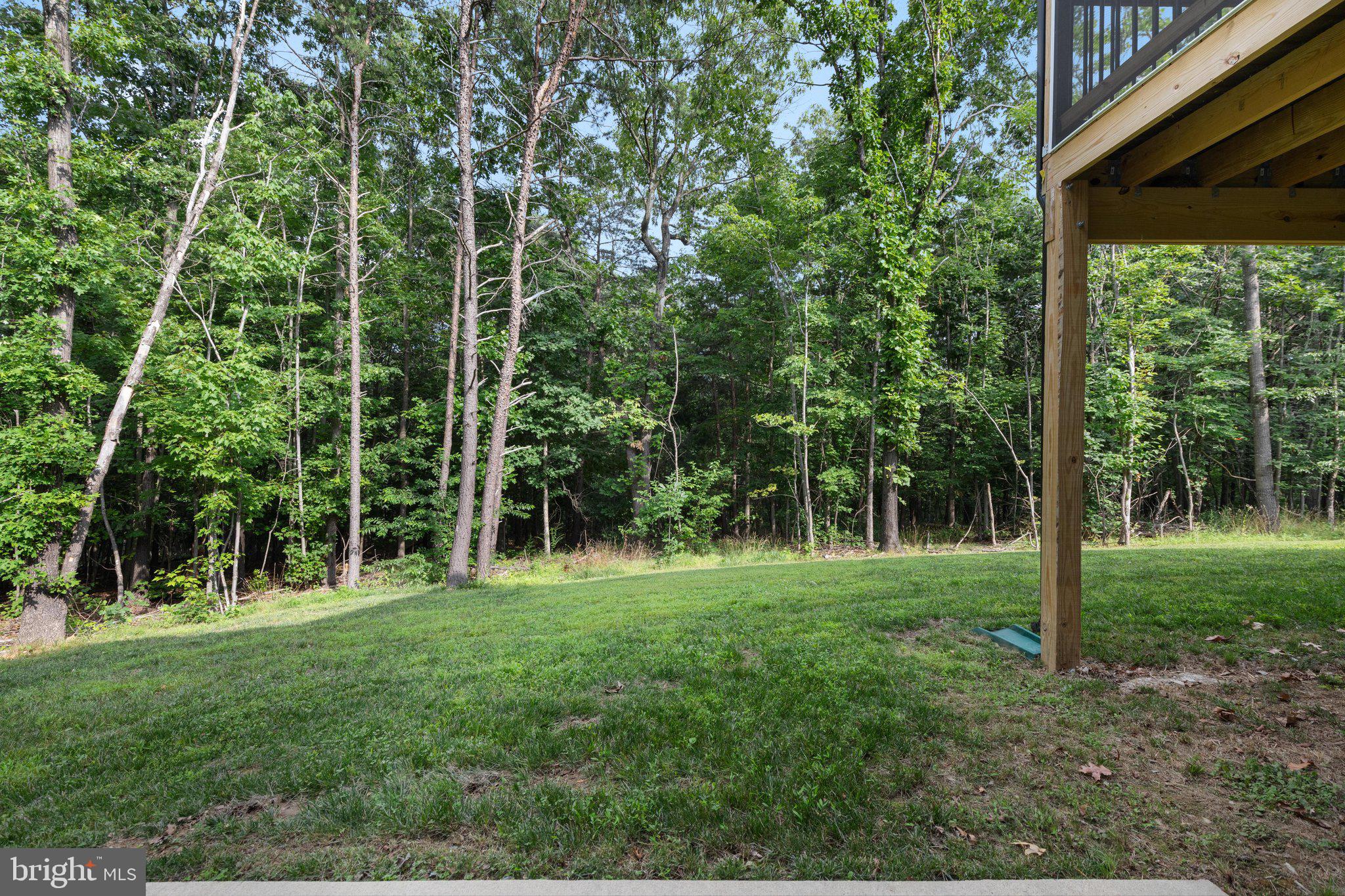 412 Mile Ridge Estates Strasburg, VA 22641 - Photo 35 of 54 2E6A1027_412 Mile Ridge Estates - Absolute Altitud